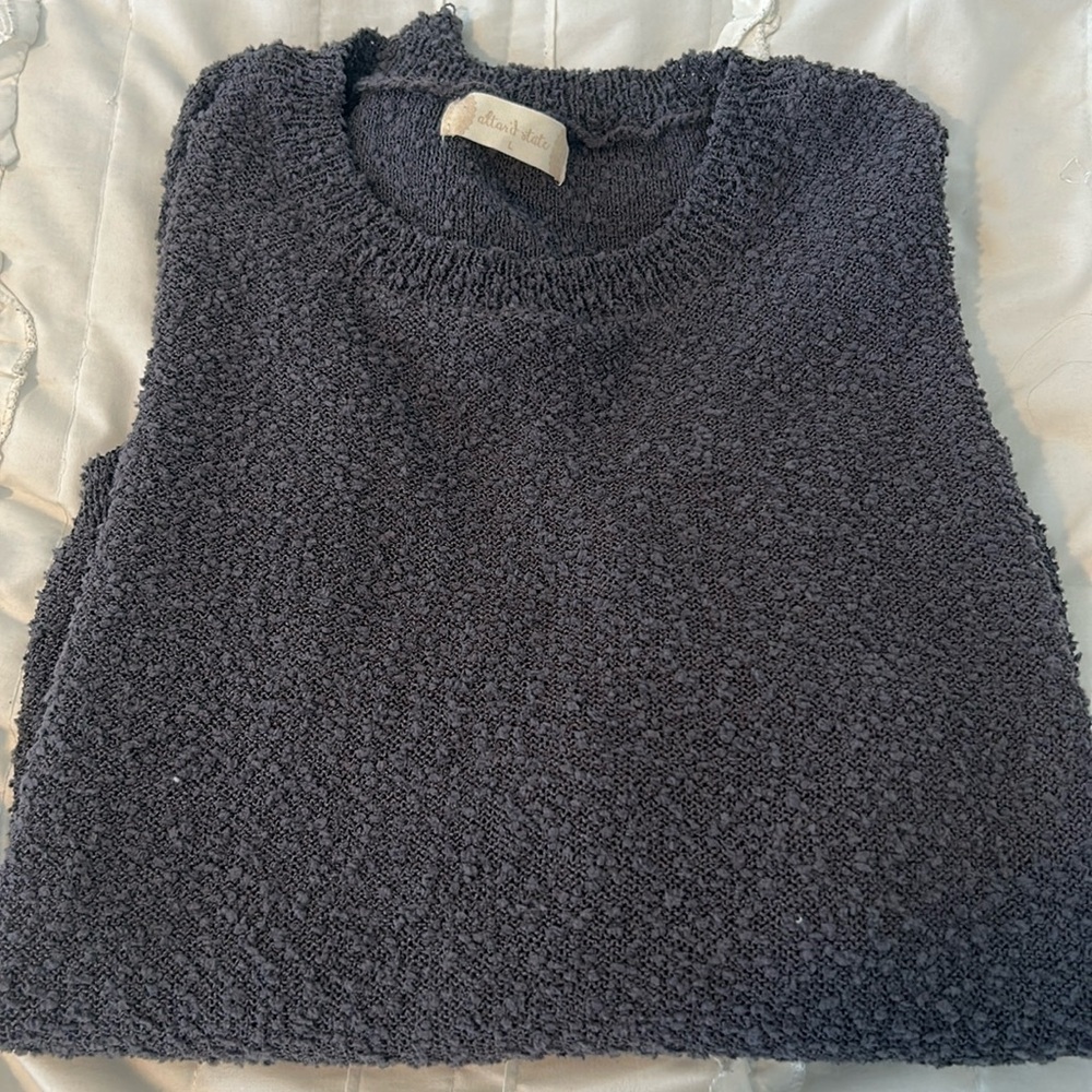 Alter'd State Slightly Cropped Sweater